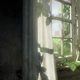 Illustration for article titled What Would Happen if Humans Were Gone, Illustrated by emThe Last of Us/em